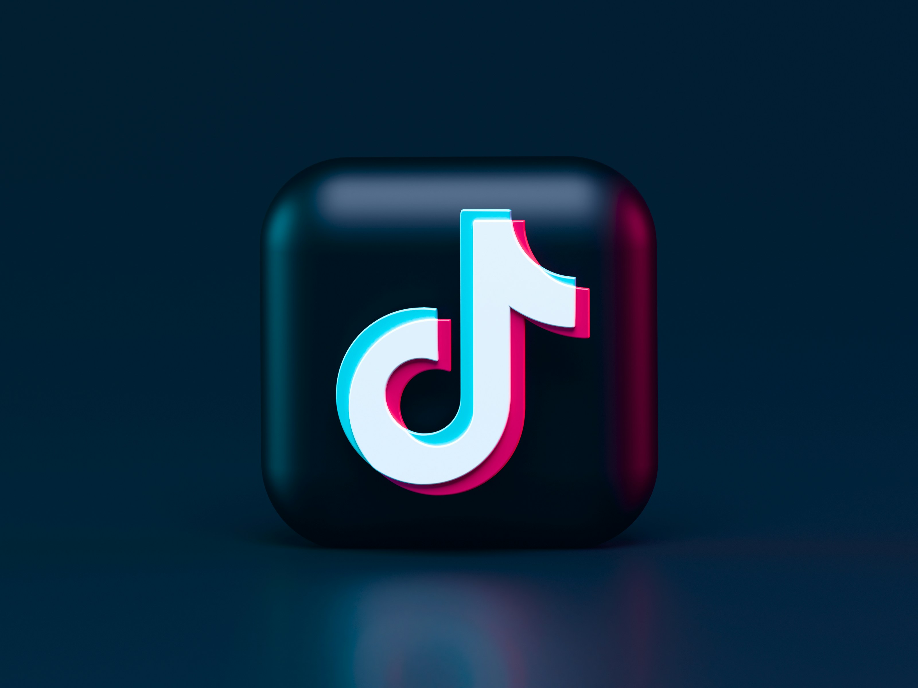 Telegram bulk media and file download interface